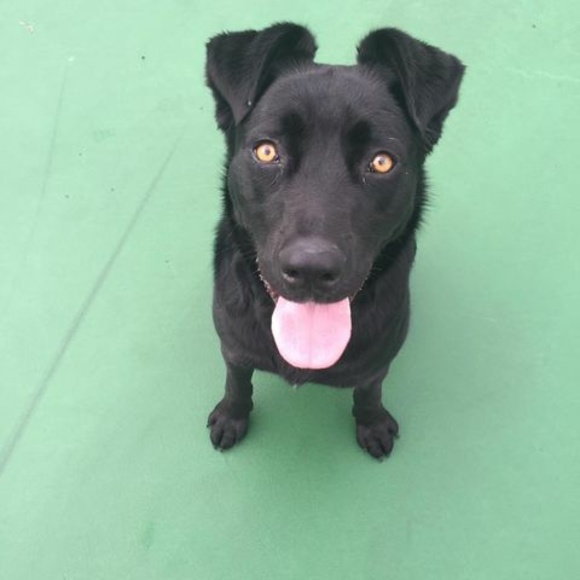 Meet your Posher, Dallas - Picture 1 of 1